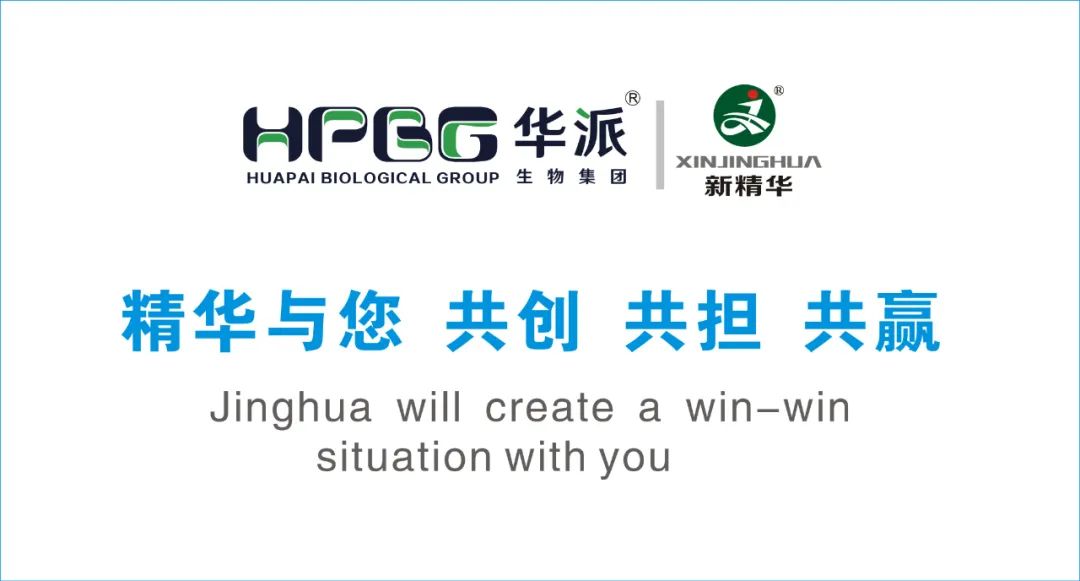 企业简介 |华派集团&bull;龙8头号玩家药业（成都）有限公司