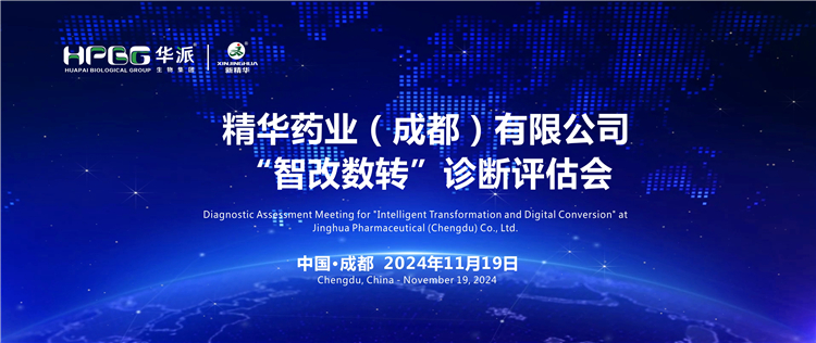 智能制造｜专家组莅临华派集团&middot;龙8头号玩家药业开展&ldquo;智改数转&rdquo;评估诊断