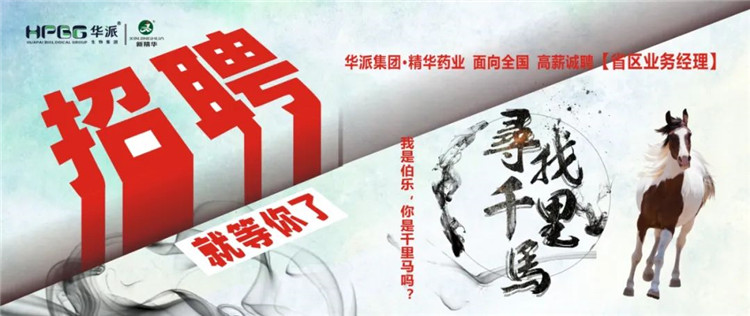 寻找千里马 | 华派集团&bull;龙8头号玩家药业面 向天下高薪诚聘【省区营业司理】 我是伯乐，，，你是千里马吗？？？？？？