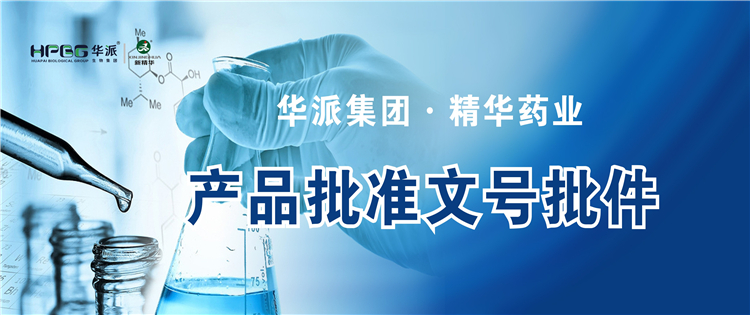 产品资质 | 华派集团&middot;龙8头号玩家药业产品批准文号批件
