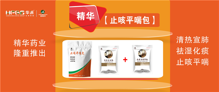 科普：畜禽呼吸道疾病的防控手艺 |【止咳平喘包】清热宣肺、祛湿化痰、止咳平喘，，，畜禽呼吸道疾病引起的种种咳喘防控首。。。。