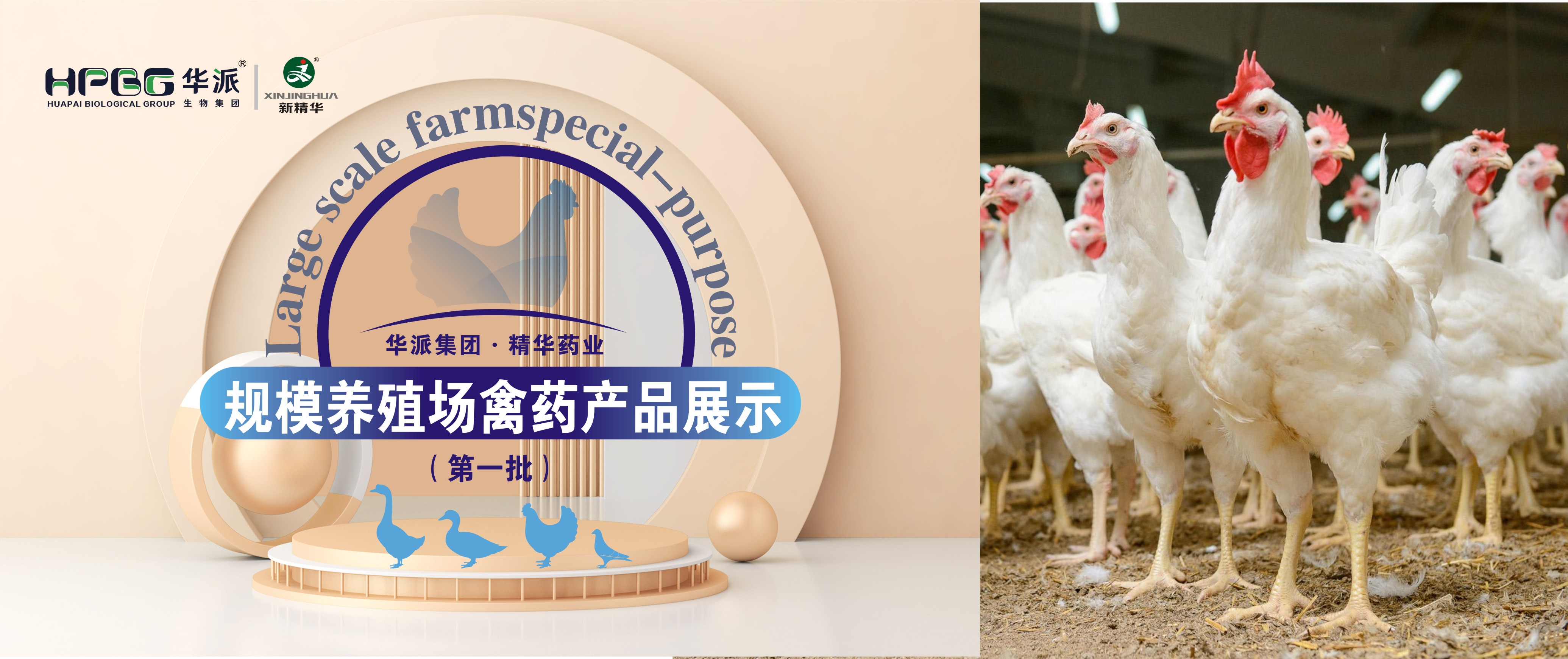 规；；；；；吵∽ㄓ | 华派集团&middot;龙8头号玩家药业规；；；；；吵∏菀┎氛故荆ǖ谝慌